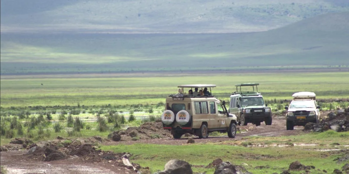 Tanzania: Serengeti Adventure