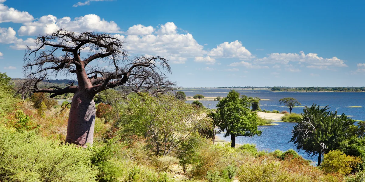 Botswana Expedition