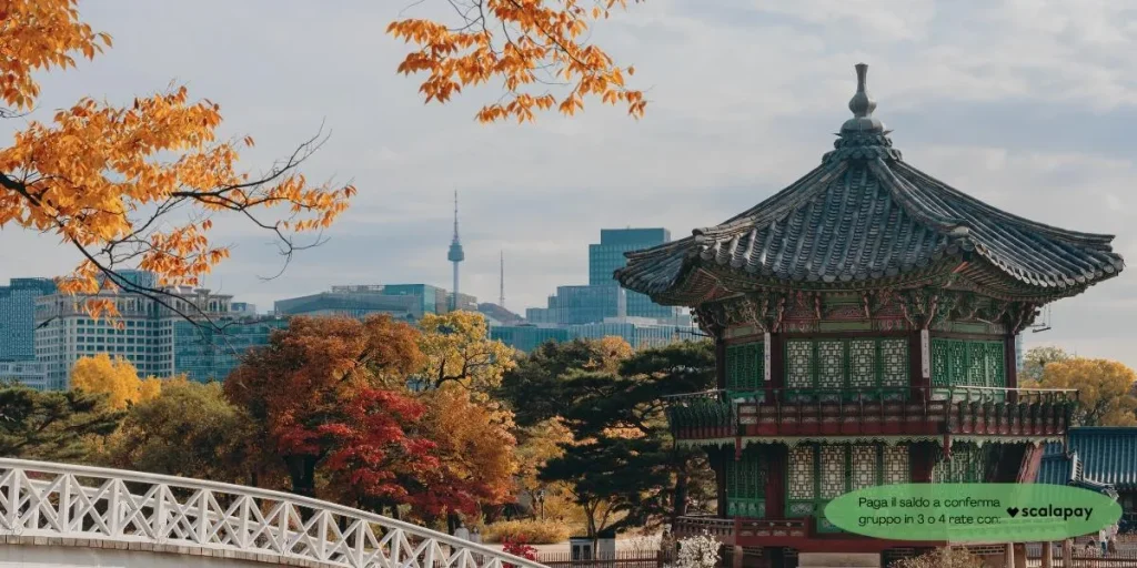 Corea del Sud Urban Experience con Jess