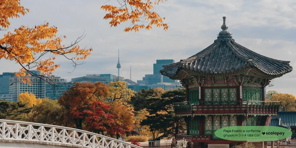 Corea del Sud Urban Experience con Jess