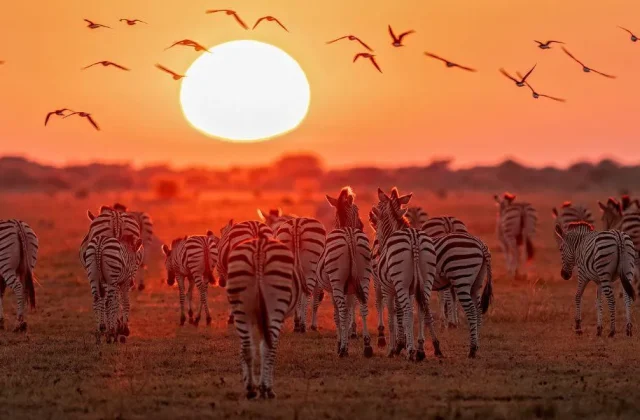 Botswana
