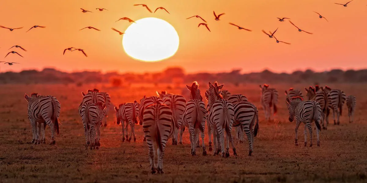 Botswana