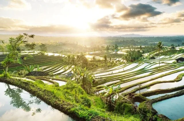 Indonesia