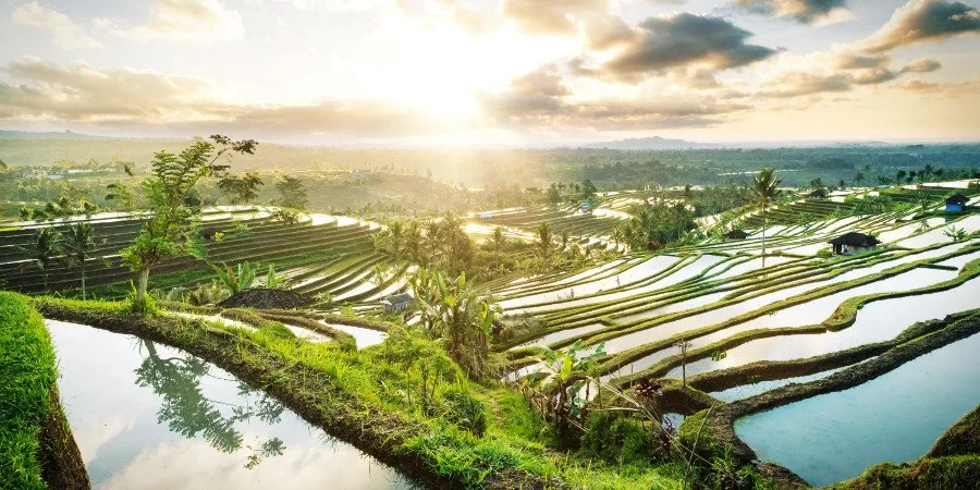 Indonesia