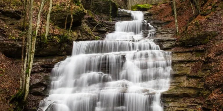 Italia: Sulle orme di San Francesco nel Parco delle Foreste Casentinesi