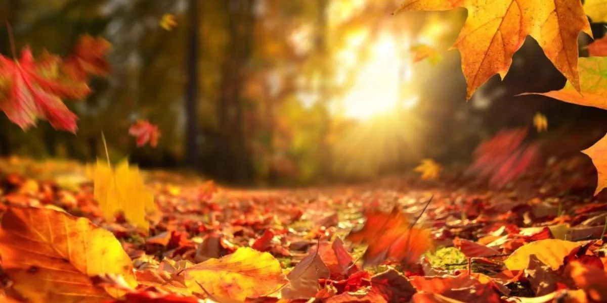Italia: Casentino d'Autunno: Tra Castelli, Cascate e Antichi Eremi