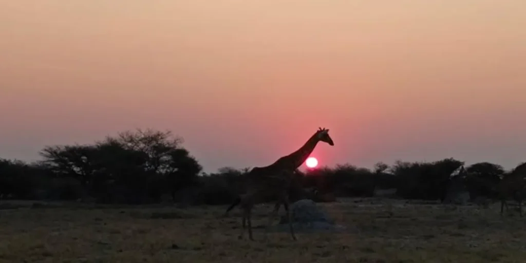 Namibia Damaraland - Caprivi Expedition
