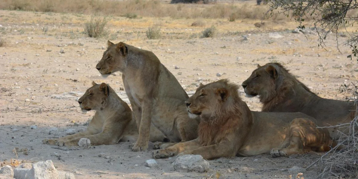 Expedition Namibia Classic [Seconda partenza]