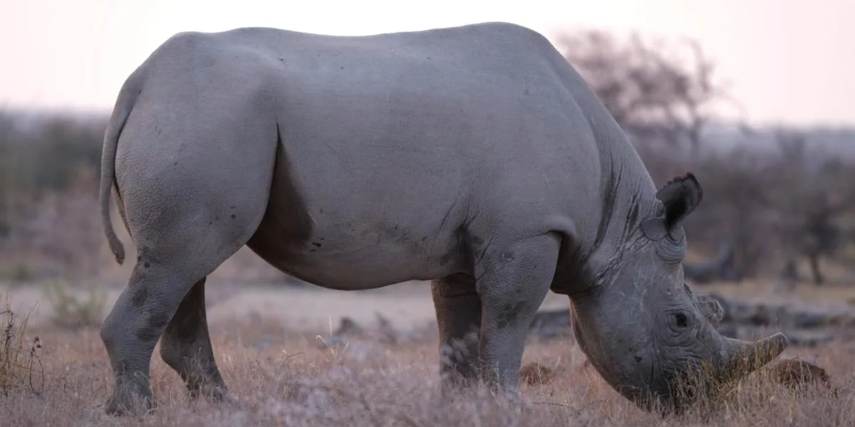 Expedition Wild Namibia "Himbaland" [seconda partenza]