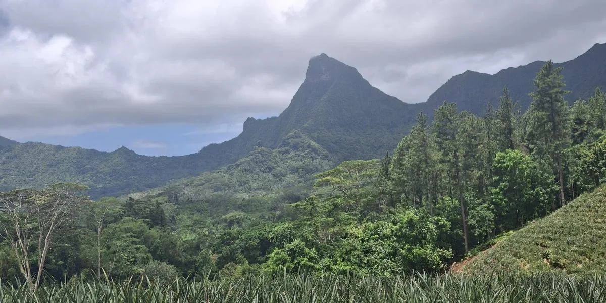 Sogno Polinesiano: Un'Avventura tra Moorea e Tahiti [Novembre 2026]