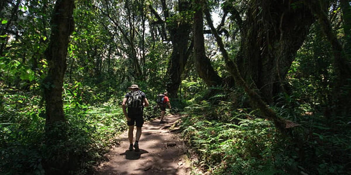 Tanzania: Kilimangiaro Machame Route Expedition
