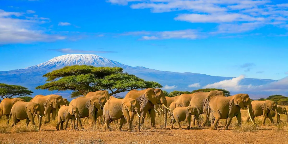 Tanzania: Adventure & Beach
