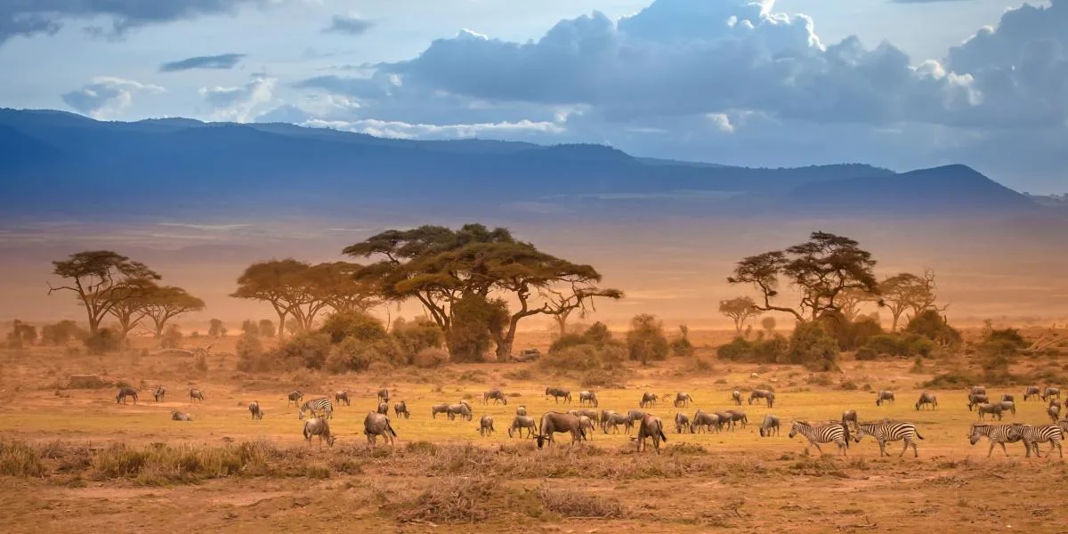 Tanzania: Adventure & Beach