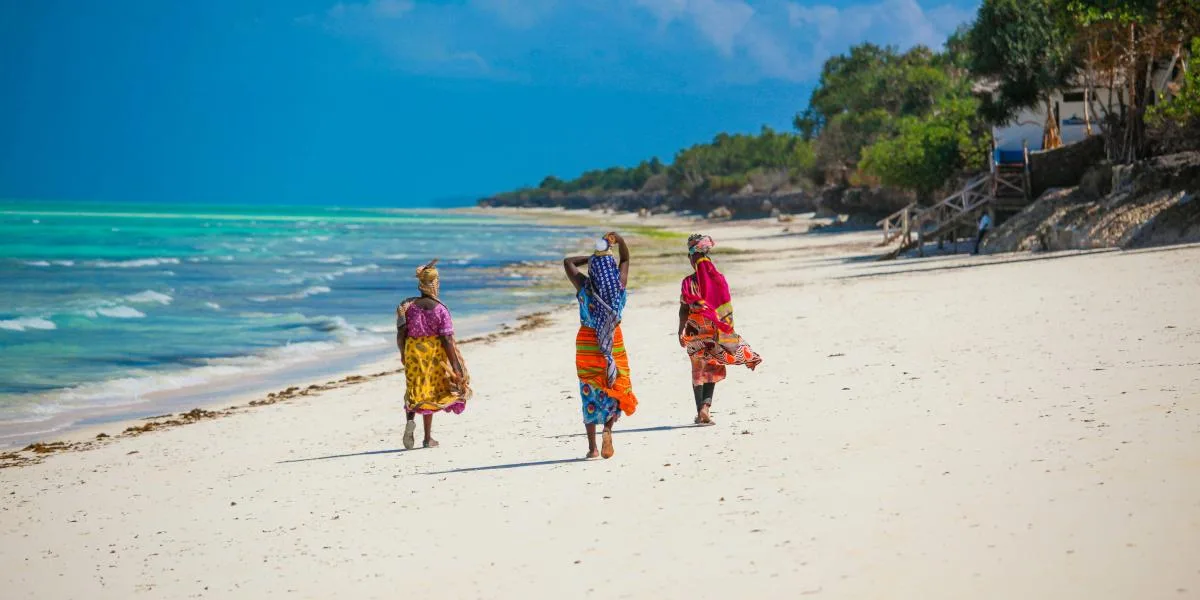 Tanzania: Adventure & Beach
