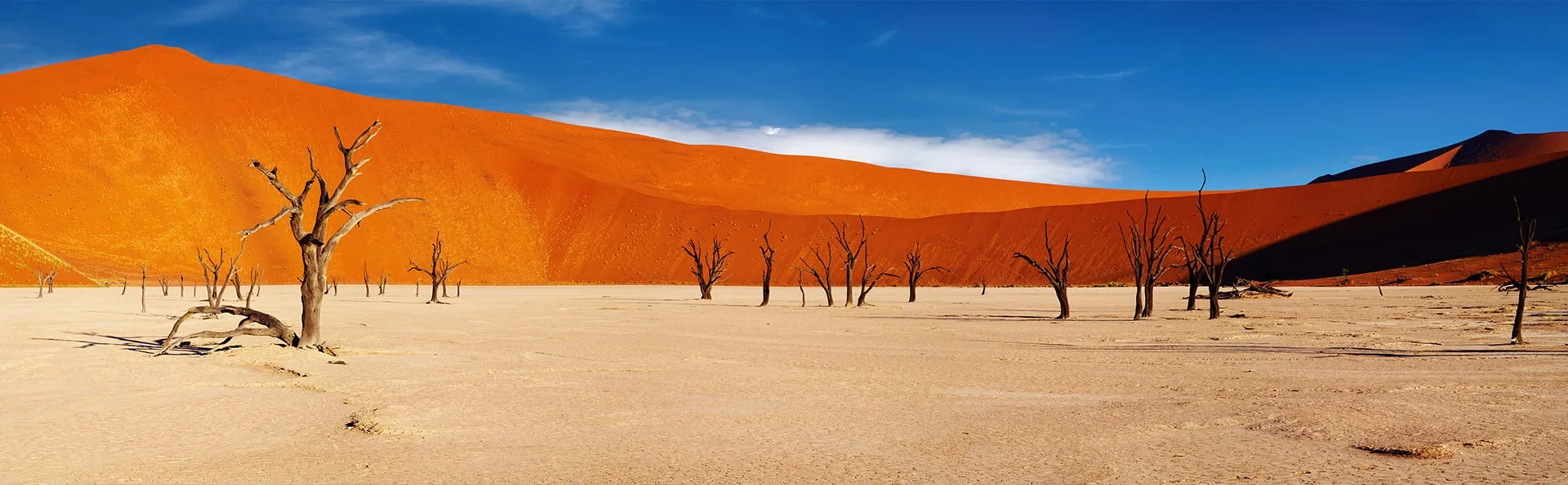 La natura comanda, e tu impari a rallentare