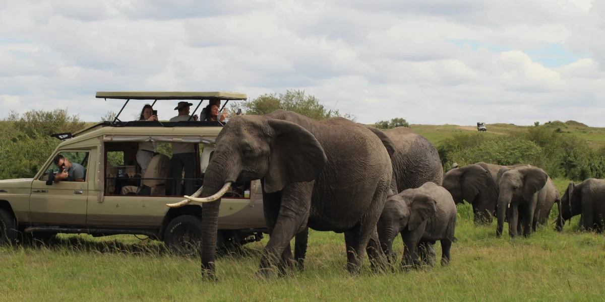 Viaggi di gruppo safari
