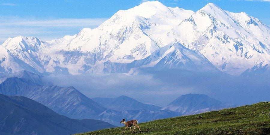 Alaska essenziale in auto — foto 2