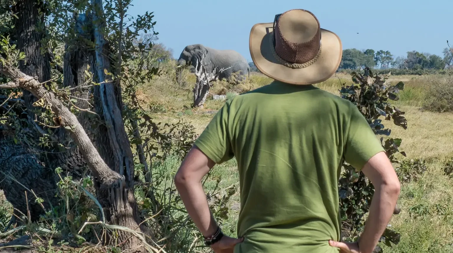 Da Maun alle Cascate Vittoria “Botswana Wildside”