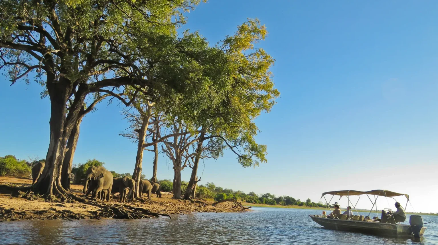 Namibia e Botswana: grande anello dalle Cascate Vittoria