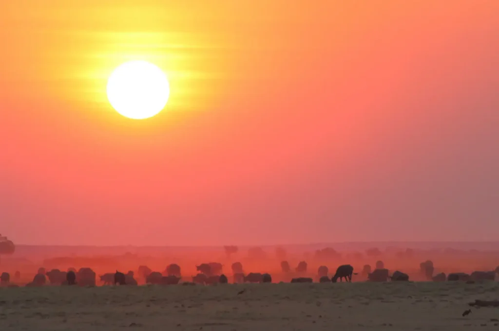 Namibia e Botswana: grande anello dalle Cascate Vittoria