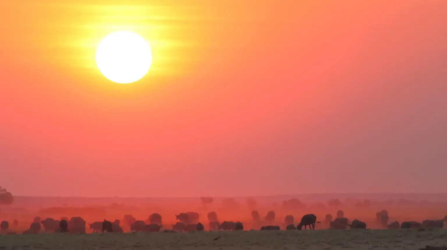 Namibia e Botswana: grande anello dalle Cascate Vittoria