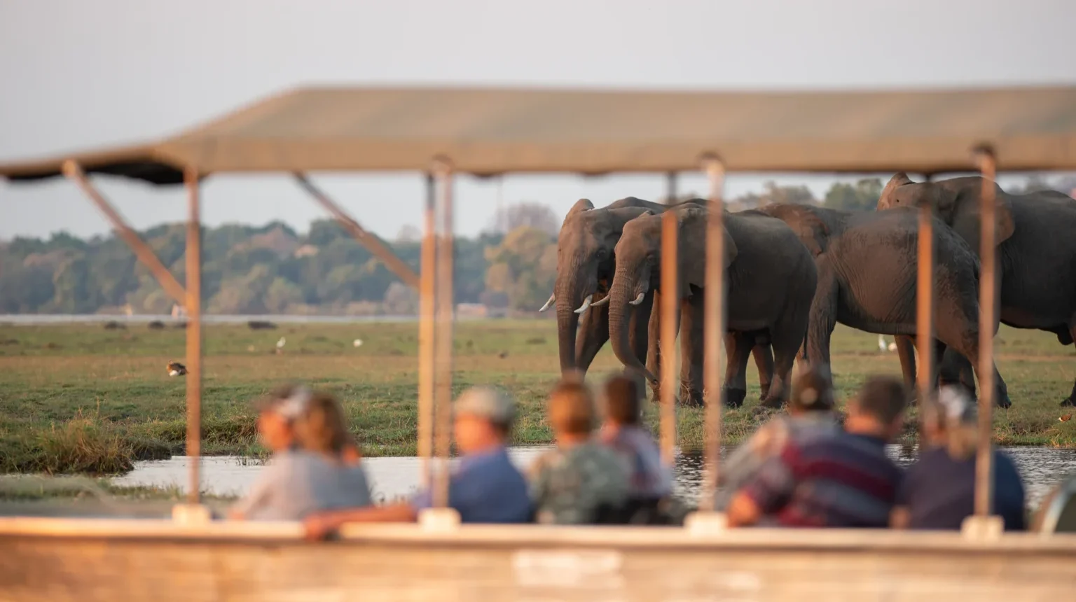 Zimbabwe e Botswana “Game Tracker”: dal Kruger all'Okavango