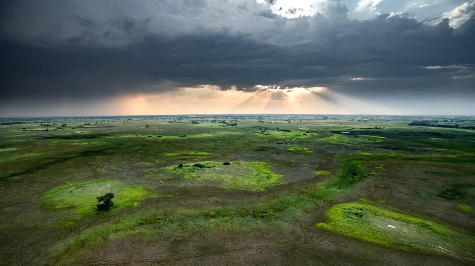 Botswana e Zimbabwe “Ivory Route”