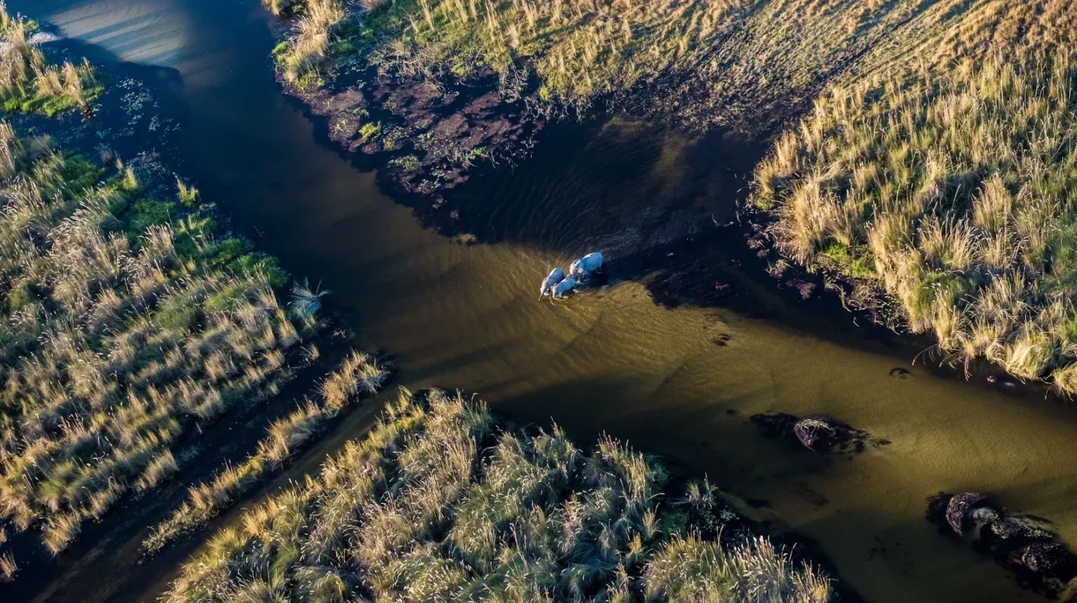 Da Maun alle Cascate Vittoria “Botswana Wild Parks”