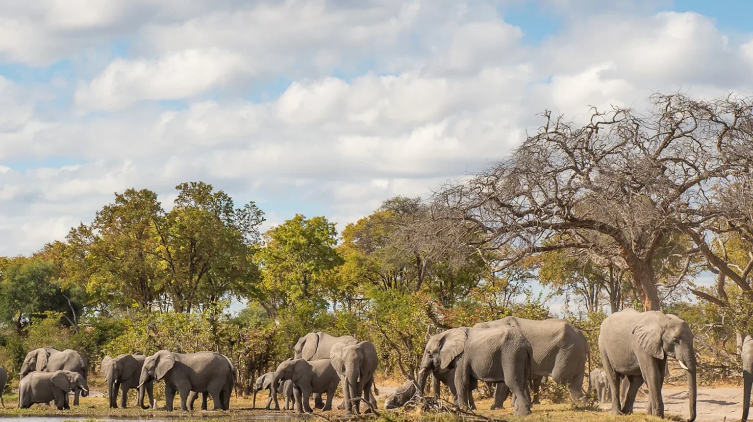 Da Johannesburg alle Cascate Vittoria “Botswana Wild Parks”
