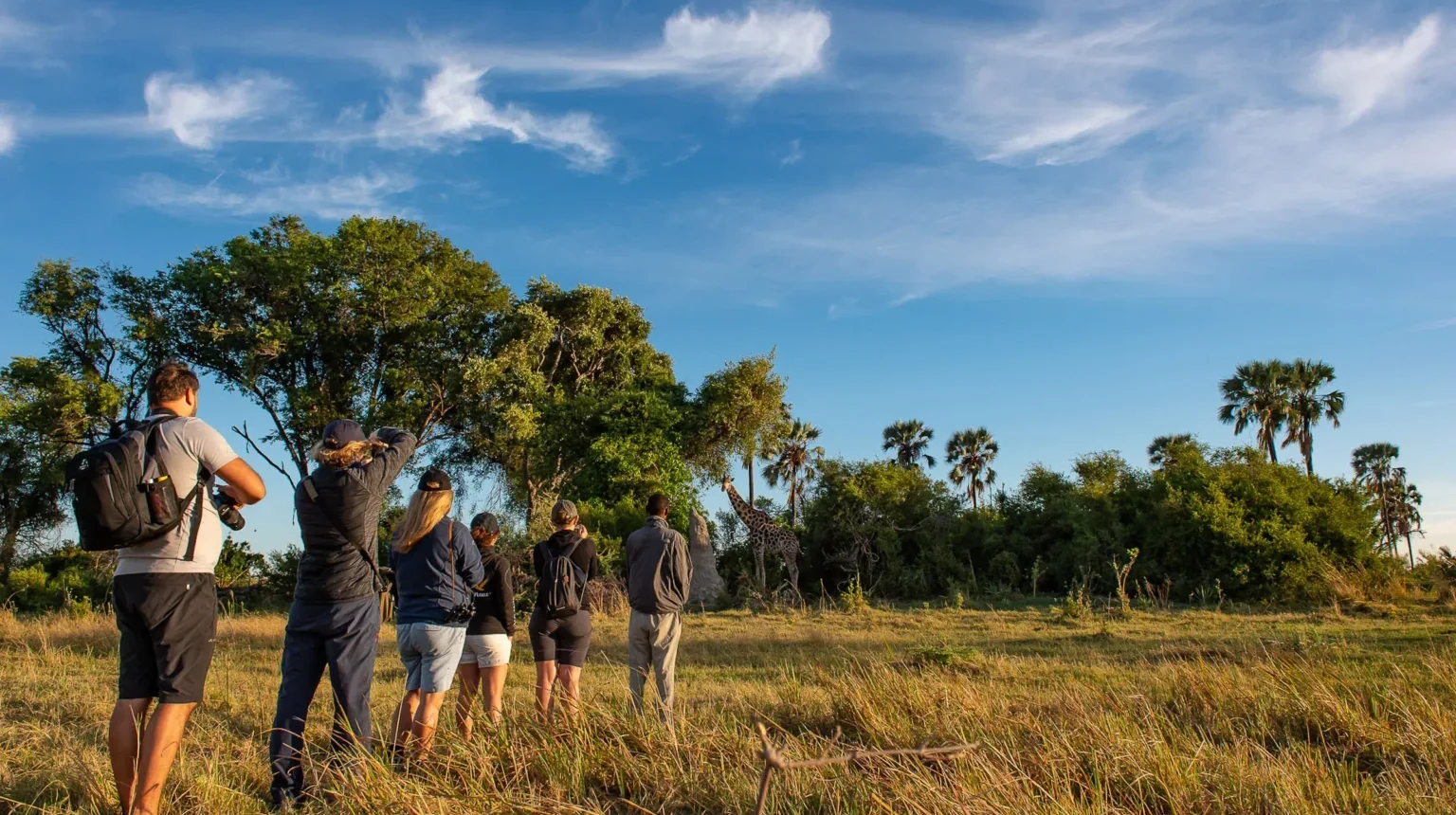 Da Maun alle Cascate Vittoria “Botswana Wild Parks”