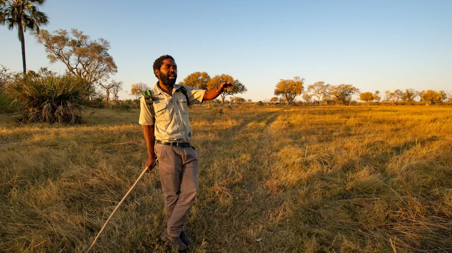 Da Johannesburg alle Cascate Vittoria “Botswana Wildside”