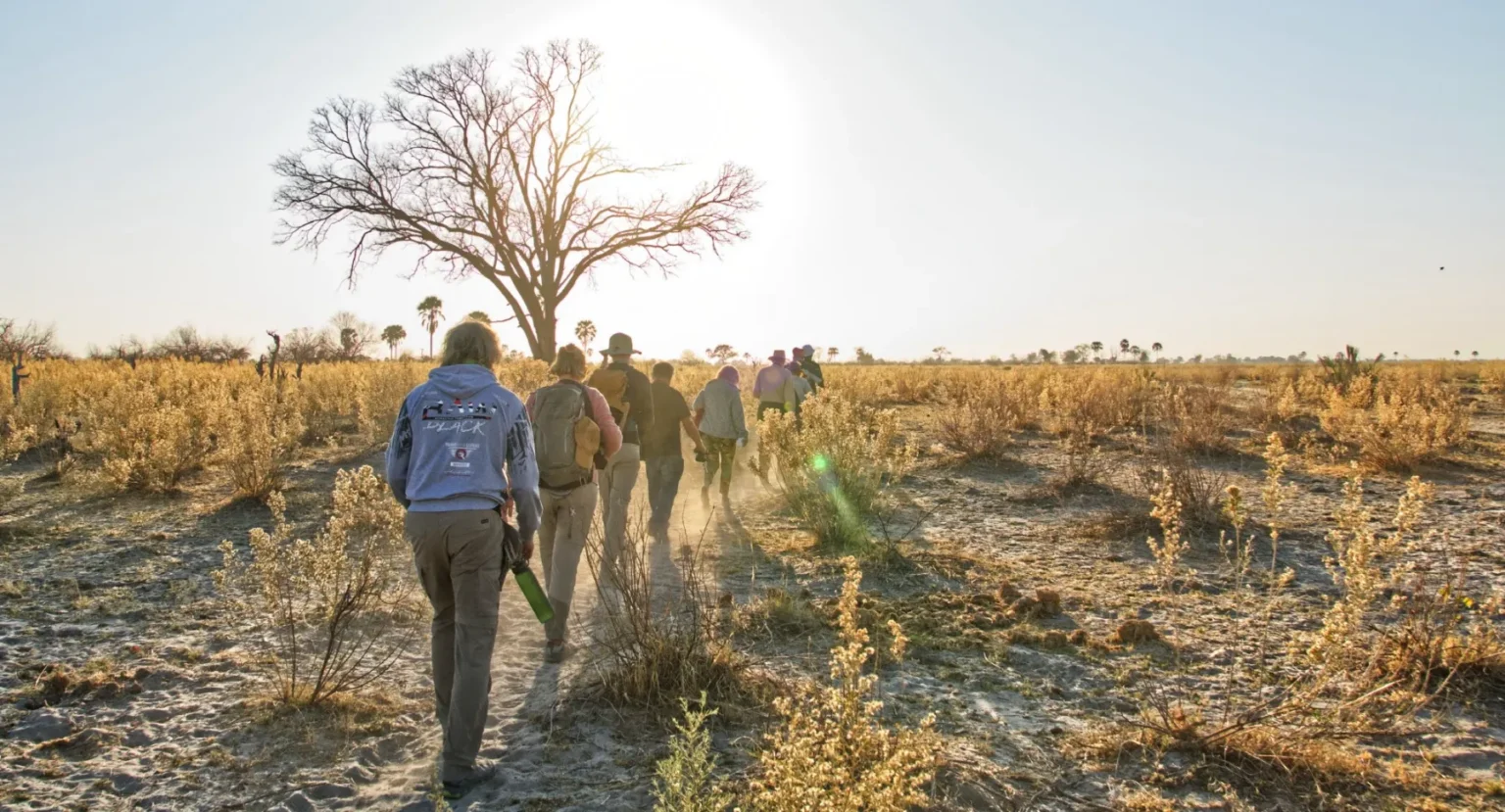 Zimbabwe e Botswana “Game Tracker”: dal Kruger all'Okavango