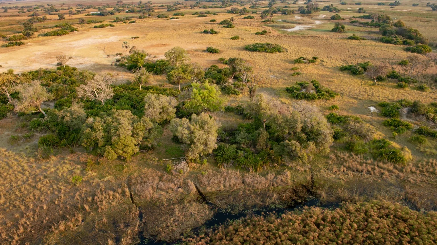Botswana e Zimbabwe “Ivory Route”
