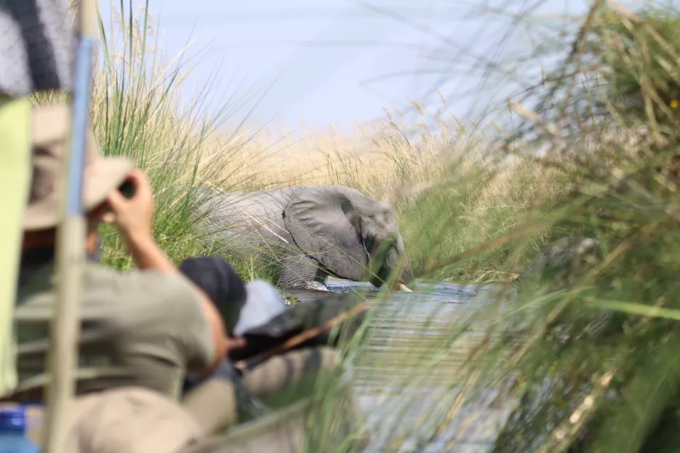 Da Johannesburg alle Cascate Vittoria “Botswana Wildside”