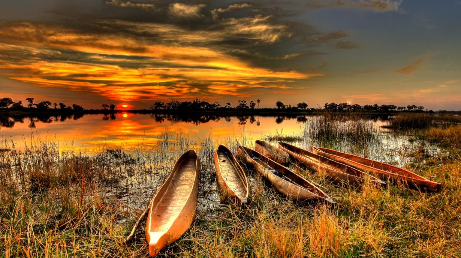 Zimbabwe e Botswana “Game Tracker”: dal Kruger all'Okavango