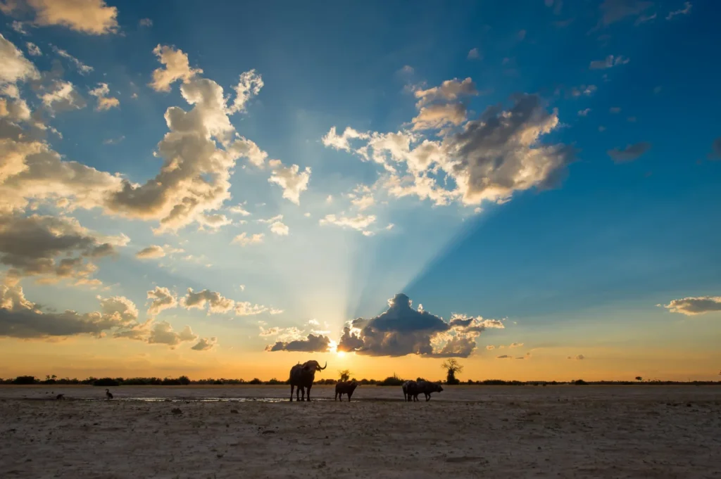 Da Maun alle Cascate Vittoria “Botswana Wildside”