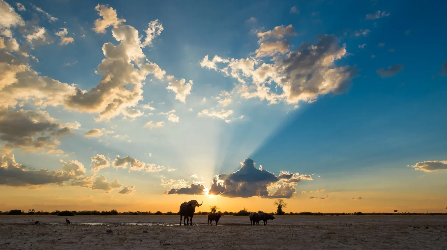 Da Maun alle Cascate Vittoria “Botswana Wildside”
