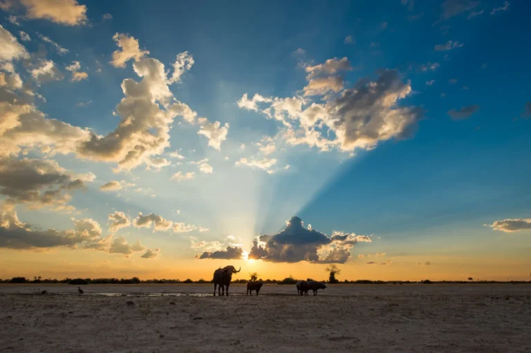 Da Maun alle Cascate Vittoria “Botswana Wildside”