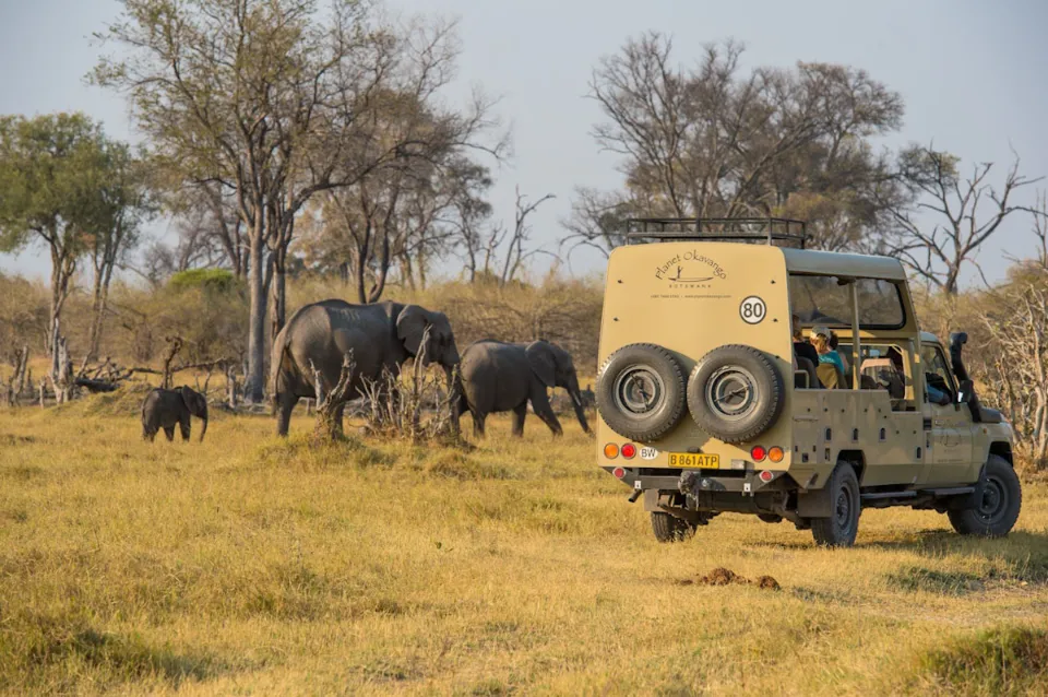 Da Maun alle Cascate Vittoria “Botswana Wild Parks”