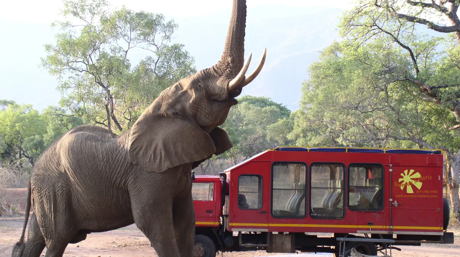 Dalle Cascate Vittoria al Kruger “Trade Route”