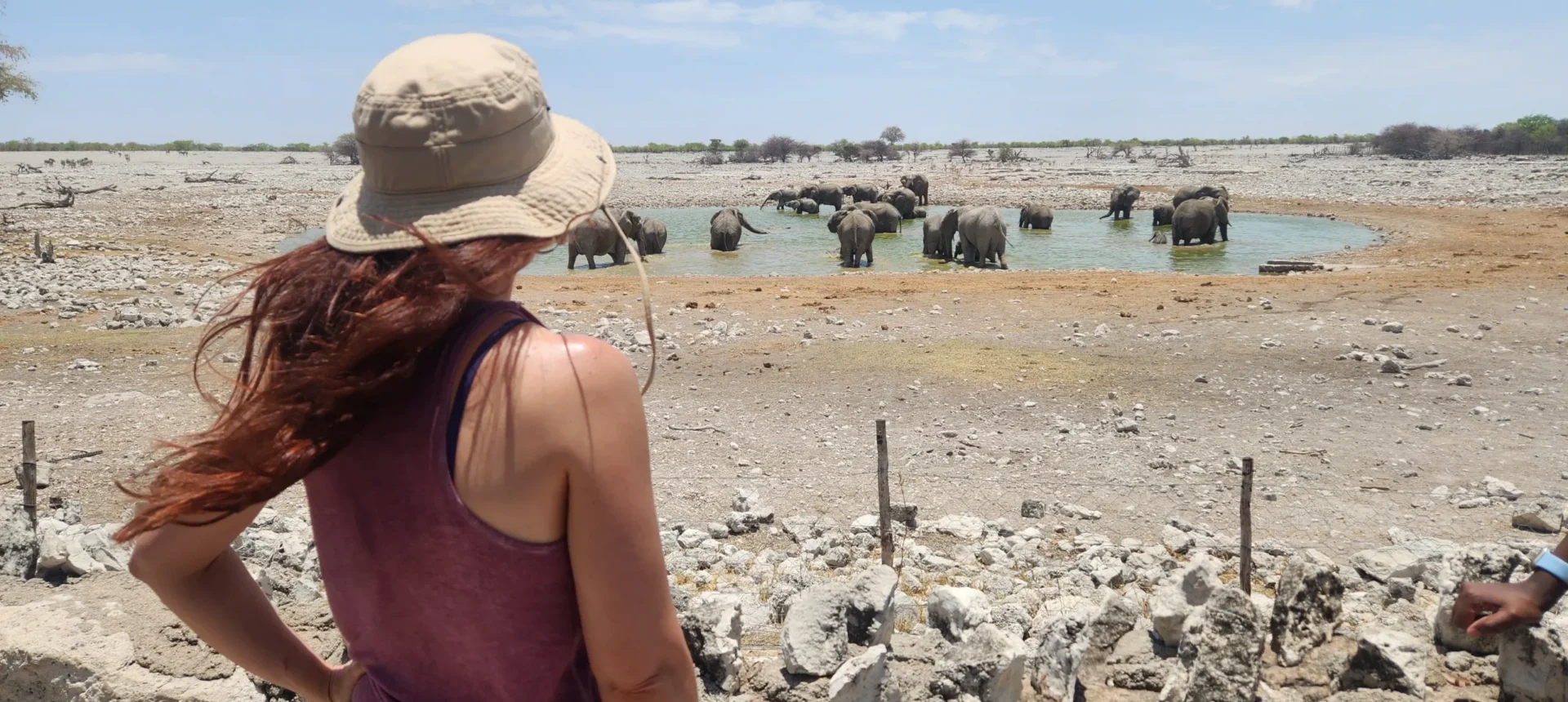 Namibia e Botswana: grande anello dalle Cascate Vittoria