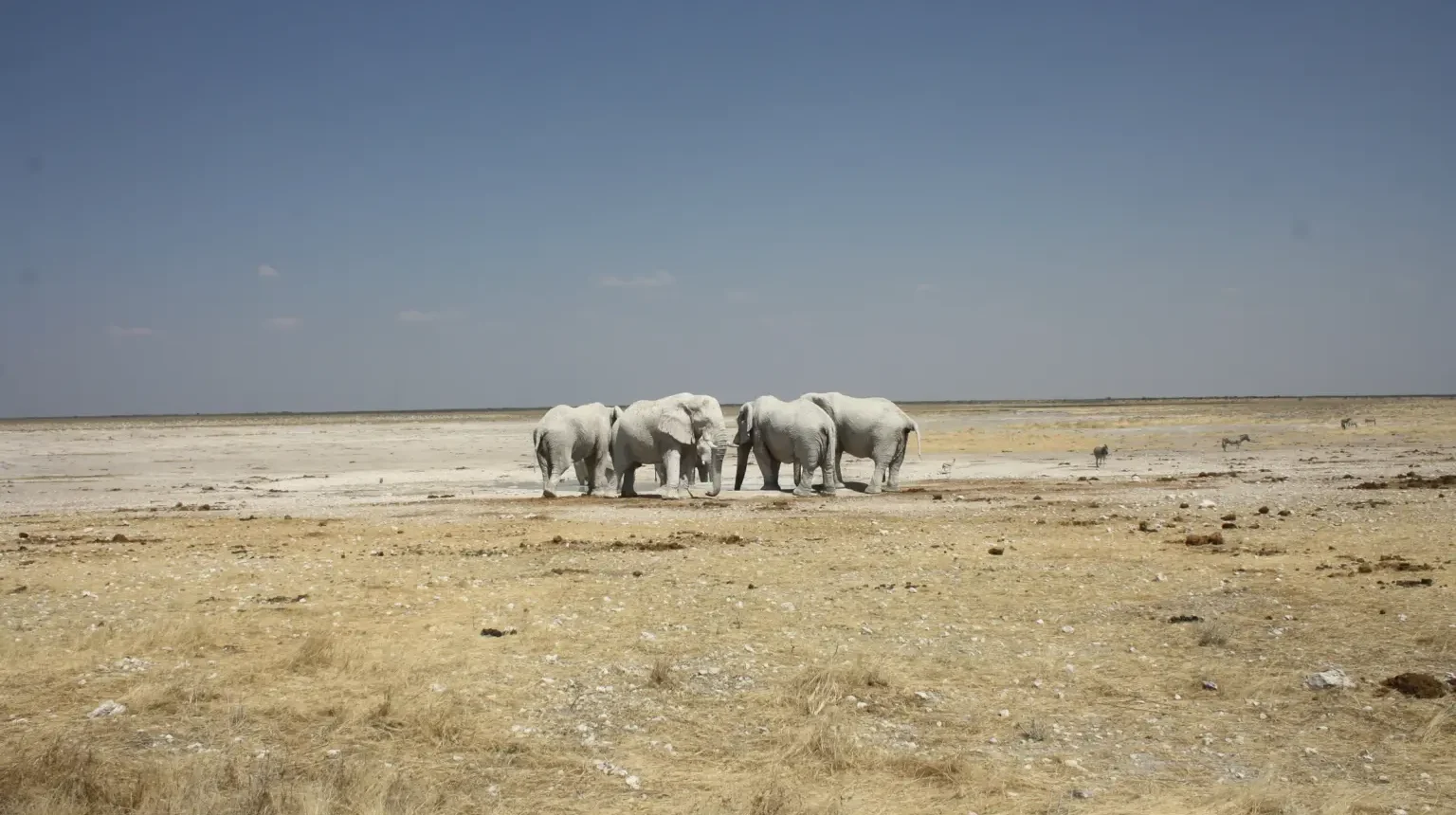 Namibia e Botswana: grande anello dalle Cascate Vittoria
