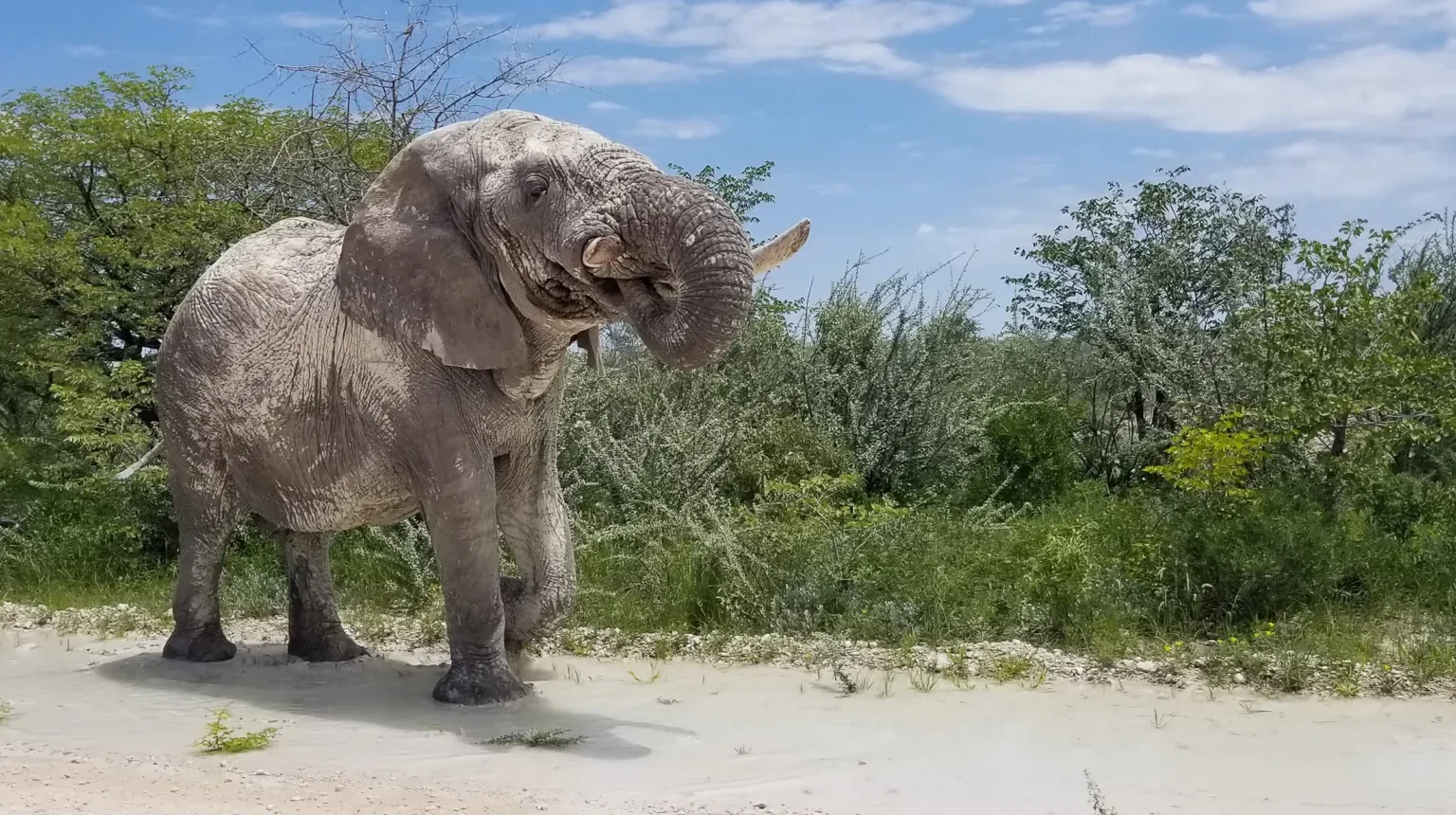 Namibia, Botswana e Zimbabwe: dalle dune alle Cascate Vittoria