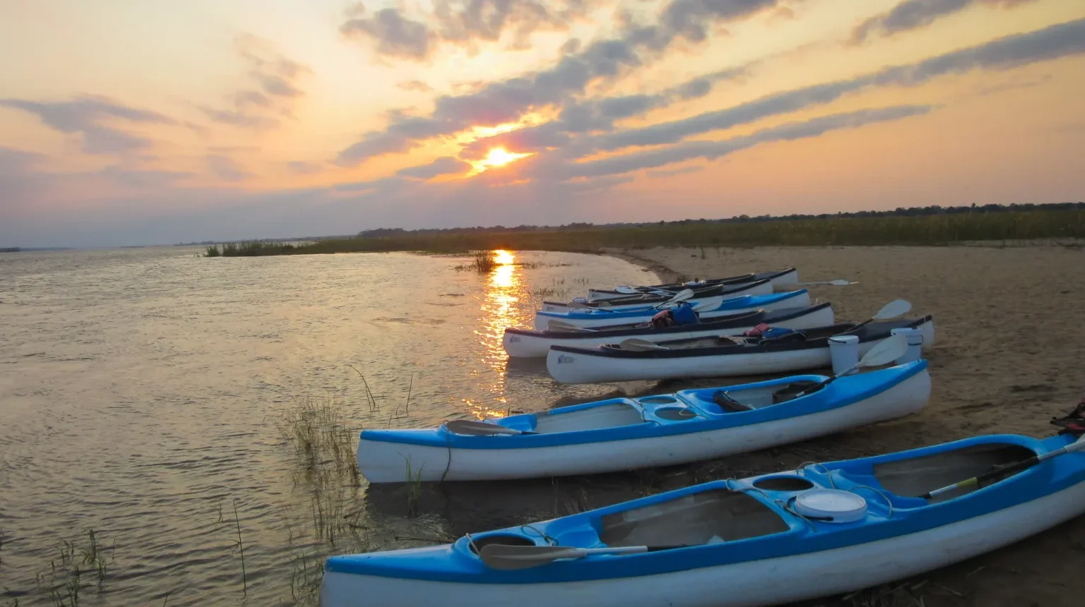 Zimbabwe e Zambia Safari: antichi sentieri in campeggio