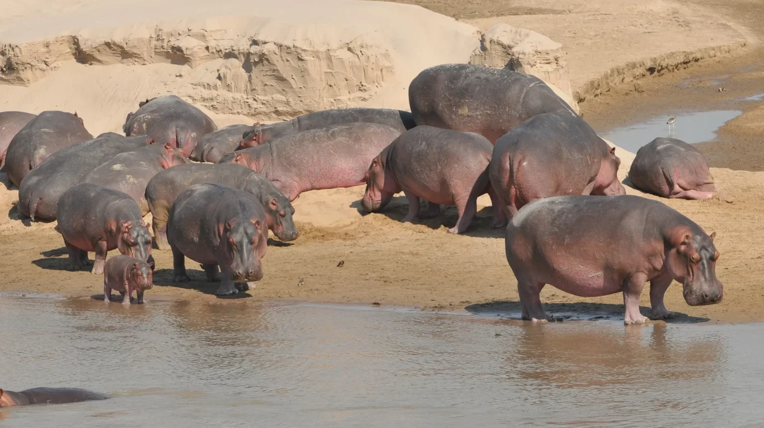Dalle Cascate Vittoria al Kruger “Trade Route”