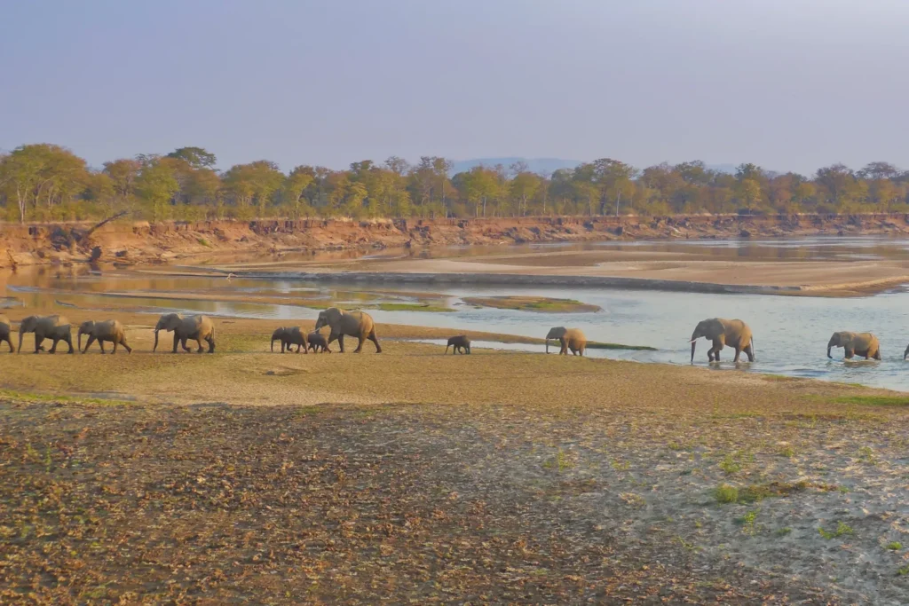 Zambia e Malawi Safari: sulle orme di Livingstone