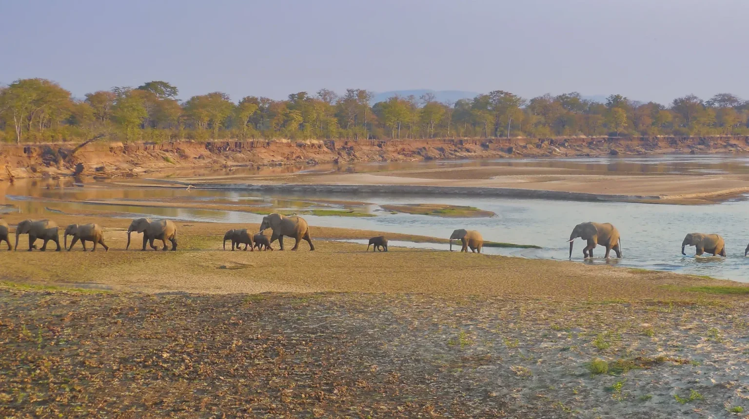 Zambia e Malawi Safari: sulle orme di Livingstone