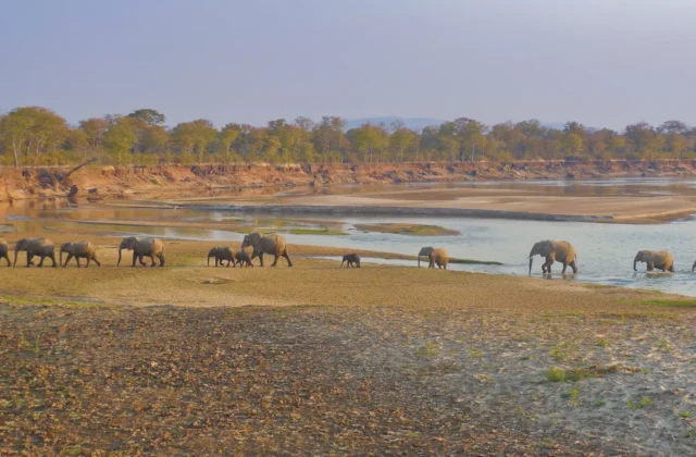 Zambia e Malawi Safari: sulle orme di Livingstone