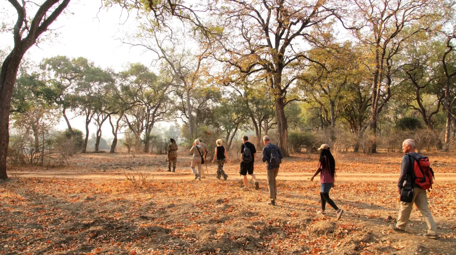 Zambia e Malawi Safari: sulle orme di Livingstone
