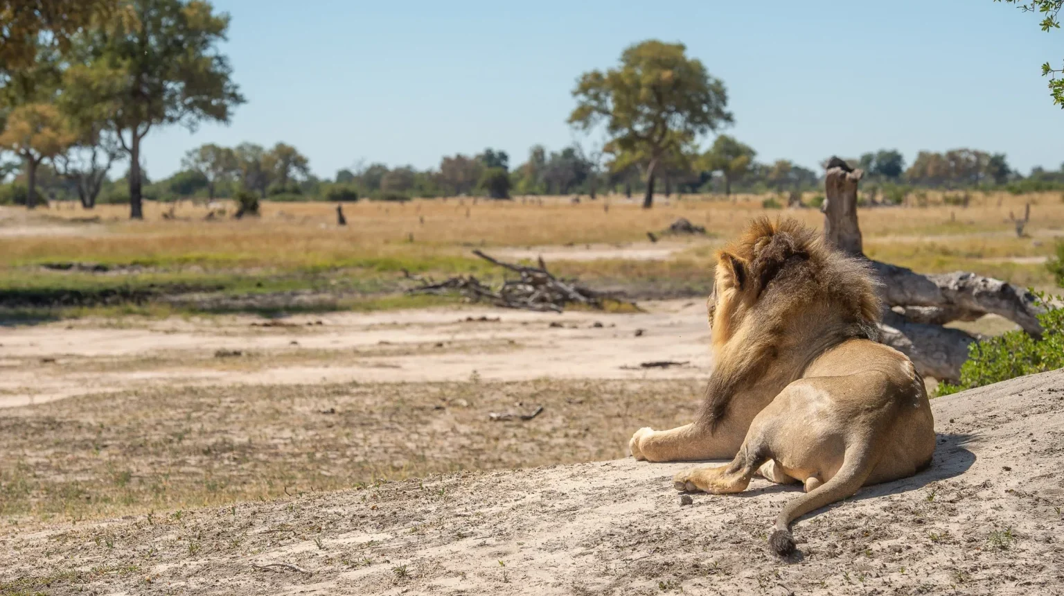 Zimbabwe e Zambia Safari: antichi sentieri in campeggio